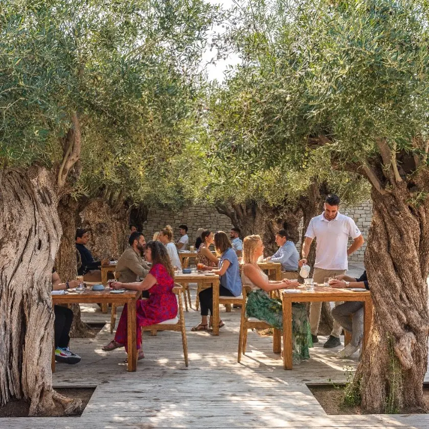 relaxed vibe at Kohili restaurant