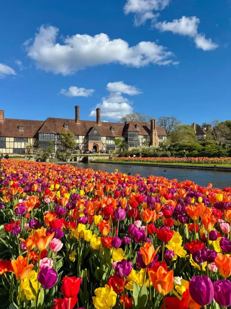 exploring RHS Wisley