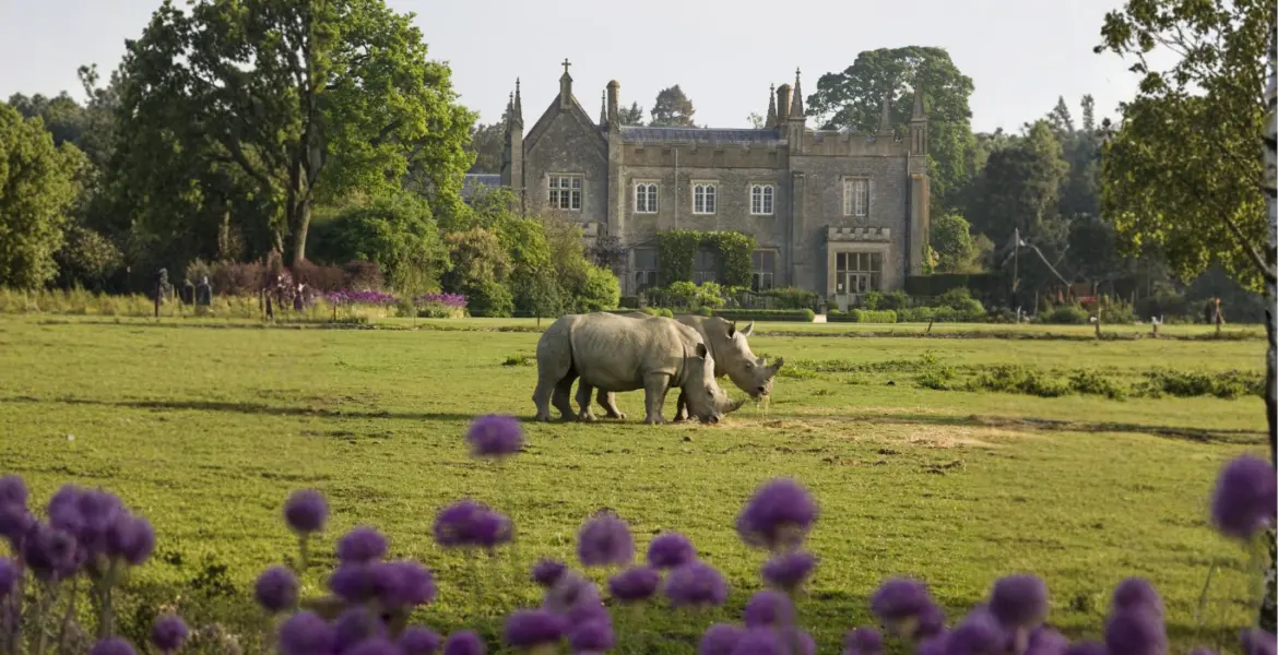 Cotswold Wildlife Park