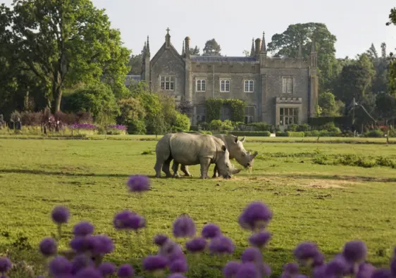 Cotswold Wildlife Park