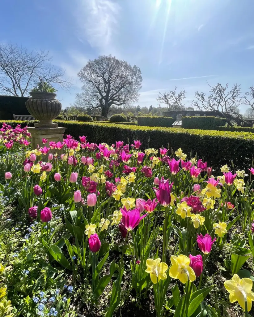 Cotswold Wildlife Park garden