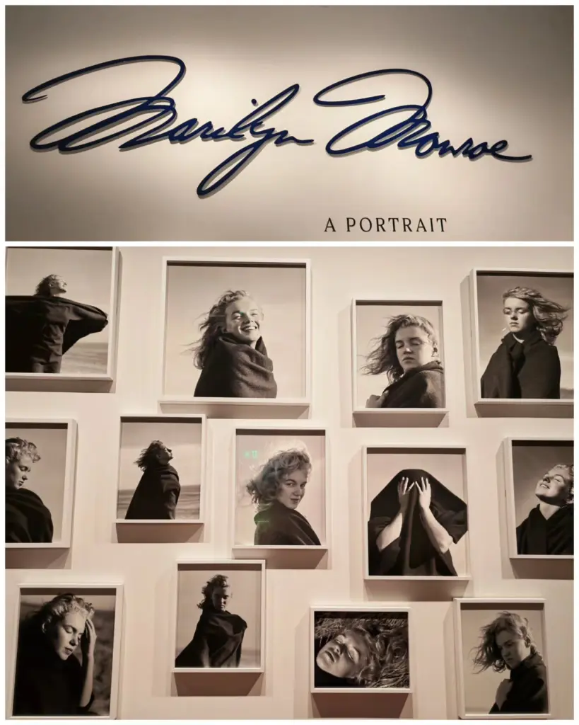 the Marilyn Monroe exhibition